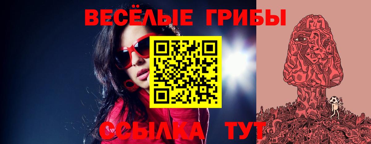 Галлюциногенные грибы Psilocybe Новомосковск
